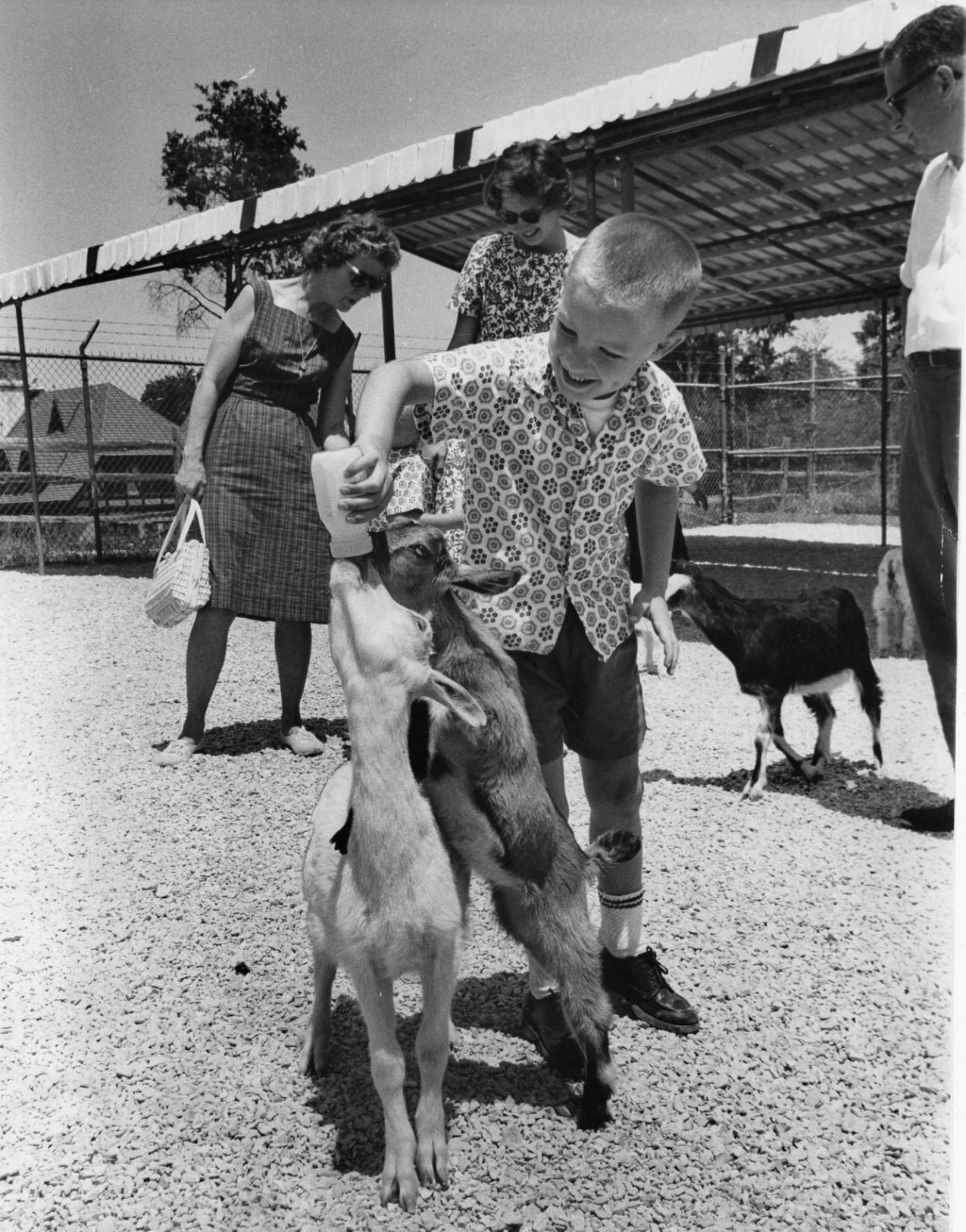 Grant's Farm in 1964